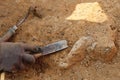 Archeological tools, Archeologist working on site, hand and tool. Royalty Free Stock Photo