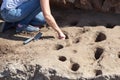 Archeology. Archaeologist working at archaeological site. Royalty Free Stock Photo