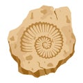 Archeology fossil stone with print of extinct plants. Archeology and paleontology. Cartoon vector illustration