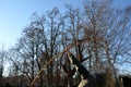 The archer draws a bow and arrow to a shot from a traditional yew bow used in the medieval battles of Agincourt. meadow and wooden Royalty Free Stock Photo