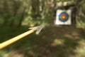 ARCHERY ARROW AIMING AT TARGET IN WOODLAND Royalty Free Stock Photo