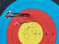 Archery - Arrow grouping on the target Royalty Free Stock Photo