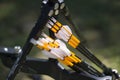 Archery Arrows with Bow Detail Royalty Free Stock Photo