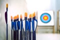 Archery arrows with targets in out of focus background Royalty Free Stock Photo