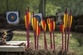 Archery and bright arrows in rustic shooting in the open air