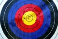 Archery or dart target Royalty Free Stock Photo