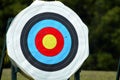 Archery Target 53 Royalty Free Stock Photo