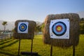 Archery target with arrow in evening light Royalty Free Stock Photo