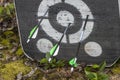 An archery target with arrows in it Royalty Free Stock Photo