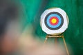 Archery target ring and an archer with a bow Royalty Free Stock Photo