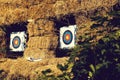 Archery targets with arrows Royalty Free Stock Photo