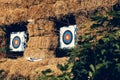 Archery targets with arrows Royalty Free Stock Photo