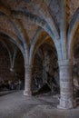 Arches and columns of the Chillon Castle dungeon