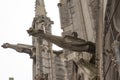 Arches and gargoyle of notre dame paris france Royalty Free Stock Photo