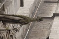 Arches and gargoyle of notre dame paris france Royalty Free Stock Photo