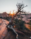 Arches National Park, eastern Utah, United States of America, Delicate Arch, La Sal Mountains, Balanced Rock, tourism, travel Royalty Free Stock Photo