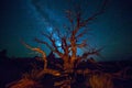 Milky way in Arches National Park in Utah