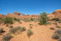 Arches National Park, Moab, Utah, USA Royalty Free Stock Photo