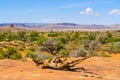 Arches National Park in summer panorama with blue sky