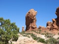 Arches National Park USA Utah Moab animal rock formation