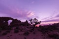 Arches Sunset