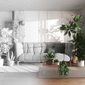 Architect interior designer concept: hand-drawn draft unfinished project that becomes real, urban jungle, living room with sofa. Royalty Free Stock Photo