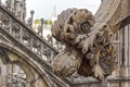 Architectonic details from roof of the famous Milan Cathedral, I Royalty Free Stock Photo