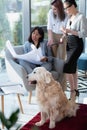 Architects in formal wear working with blueprint while dog sitting on carpet Royalty Free Stock Photo