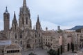 Architectural detail of the Barcelona Cathedral in Spain Royalty Free Stock Photo