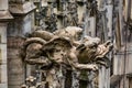 Architectural detail - gargoyle of the Milan Cathedral, Italy Royalty Free Stock Photo