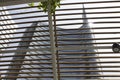 Architectural detail of the glass facade on the Unicredit tower building in Milan Royalty Free Stock Photo