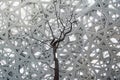 Architectural detail of the interior of the Louvre Abu Dhabi