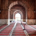 Architectural detail of Jama Masjid Mosque, Old Delhi, India, spectacular architecture of the Great Friday Mosque Jama Masjid Royalty Free Stock Photo