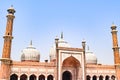 Architectural detail of Jama Masjid Mosque, Old Delhi, India, The spectacular architecture of the Great Friday Mosque Jama Masjid Royalty Free Stock Photo