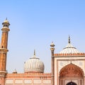 Architectural detail of Jama Masjid Mosque, Old Delhi, India, spectacular architecture of the Great Friday Mosque Jama Masjid Royalty Free Stock Photo