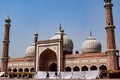 Architectural detail of Jama Masjid Mosque, Old Delhi, India, The spectacular architecture of the Great Friday Mosque Jama Masjid