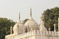 Architectural detail of Moti Masjid Royalty Free Stock Photo