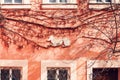 Architectural detail, pink wall with dog. Abstract medieval element of Prague architecture, Czech Republic