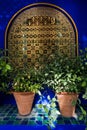 Architectural detail of a window with an oriental fence and a flower pots at sunset in Majorelle garden, Marrakech, Morocco Royalty Free Stock Photo