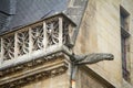 Architectural details and emblems of faculties on the roof of the Musee de Cluny a landmark national museum of medieval arts and