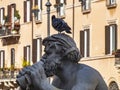 Architectural details of Fontana del Moro or Moro Fountain. Rome. Italy