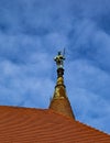 The architectural details - Roof top Statue