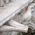 Architectural fragment of Doge Palace entrance - Italy