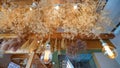 Architectural interior decorations with dried plants and lighting fixtures Royalty Free Stock Photo