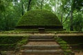 Architectural Splendor: Explore Sri Lanka's Temples in Dambulla and Sigiriya - A Captivating Photo Journe