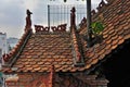 The architecture of the museum of Vietnamese medicine. On the roof are sculptures of dragons, unicorns