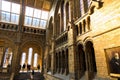 Architecture details in the main hall of Natural History Museum and Charles darwin`s portrait in the foreground. Royalty Free Stock Photo