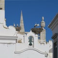 Architecture of faro portugal storks overwinter on very many hou Royalty Free Stock Photo