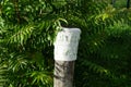 Roadside boundary post is decorated with knitted item. Berlin, Germany Royalty Free Stock Photo