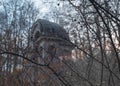 architecture detail historical building outdoor plants autumn day sunlight Saint-Petersburg